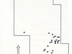 10.	Dusios ežero gyvenvietė. Stulpaviečių išsidėstymas tyrinėto ploto plane (pagal V. Juodagalvį, 2010, psl. 173).